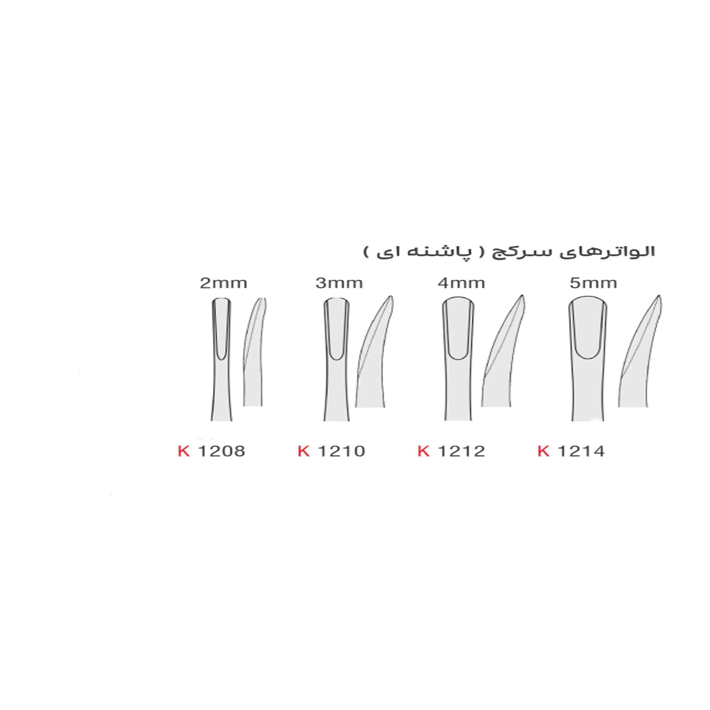 الواتور پاشنه ای- کوشا