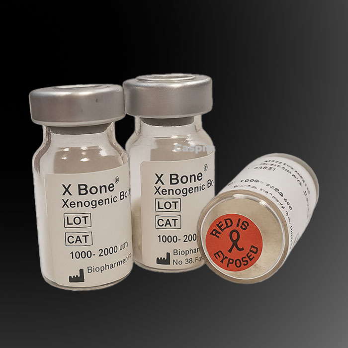 پودر استخوان زنوگرافت 1000-150 میکرون X Bone بایو ایکس - 2