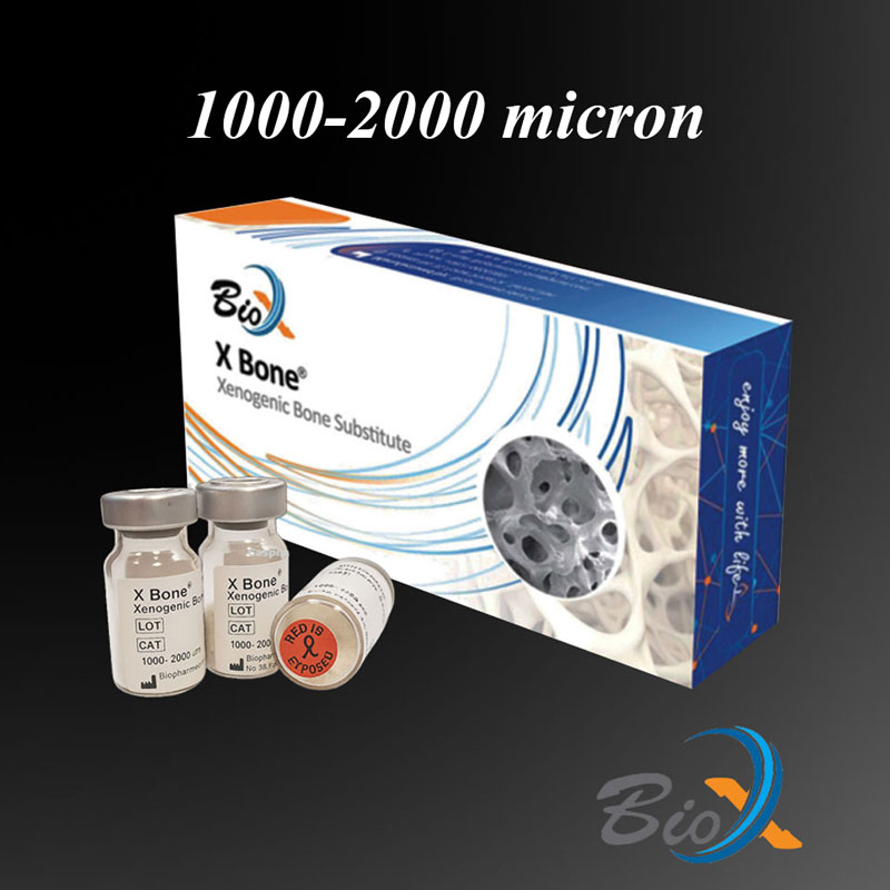 پودر استخوان زنوگرافت 2000-1000 میکرون X Bone بایو ایکس