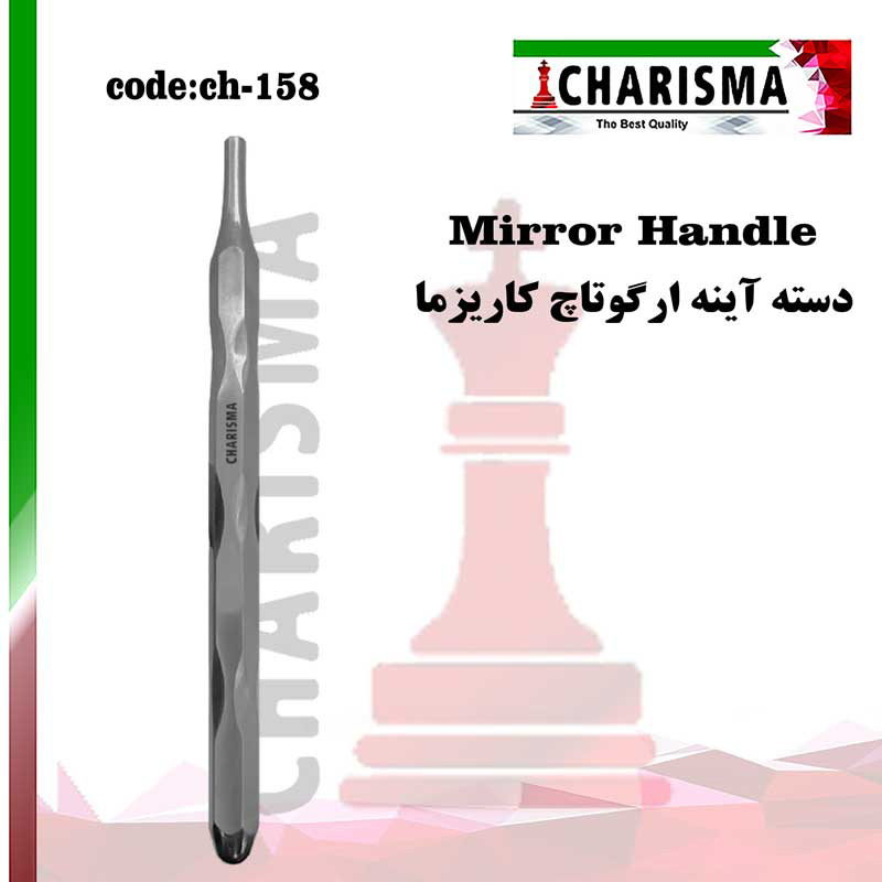 دسته آینه ارگوتاچ- کاریزما