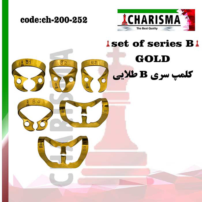 ست کلمپ تیتانیومی 6 عددی طلایی Brinker- کاریزما
