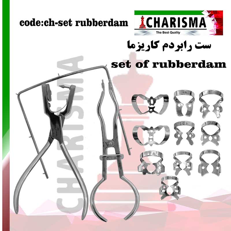 ست رابردم با ست کلمپ 10 عددی - کاریزما