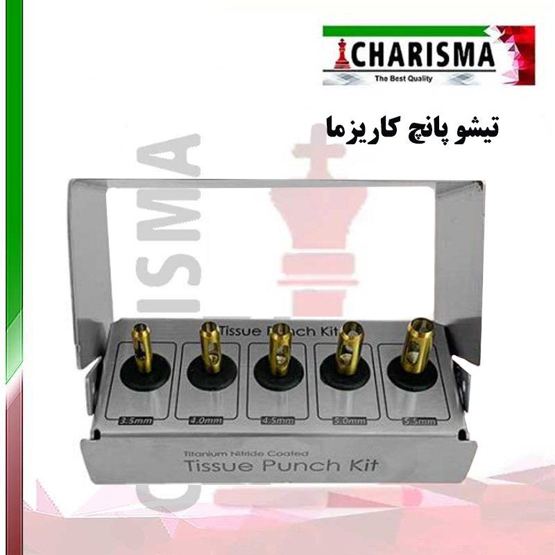 تیشو پانچ- کاریزما