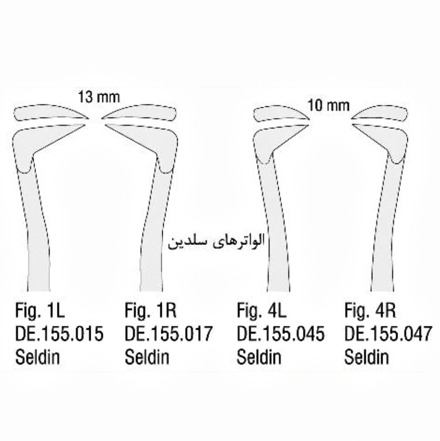 الواتور سلدین - (Falcon)