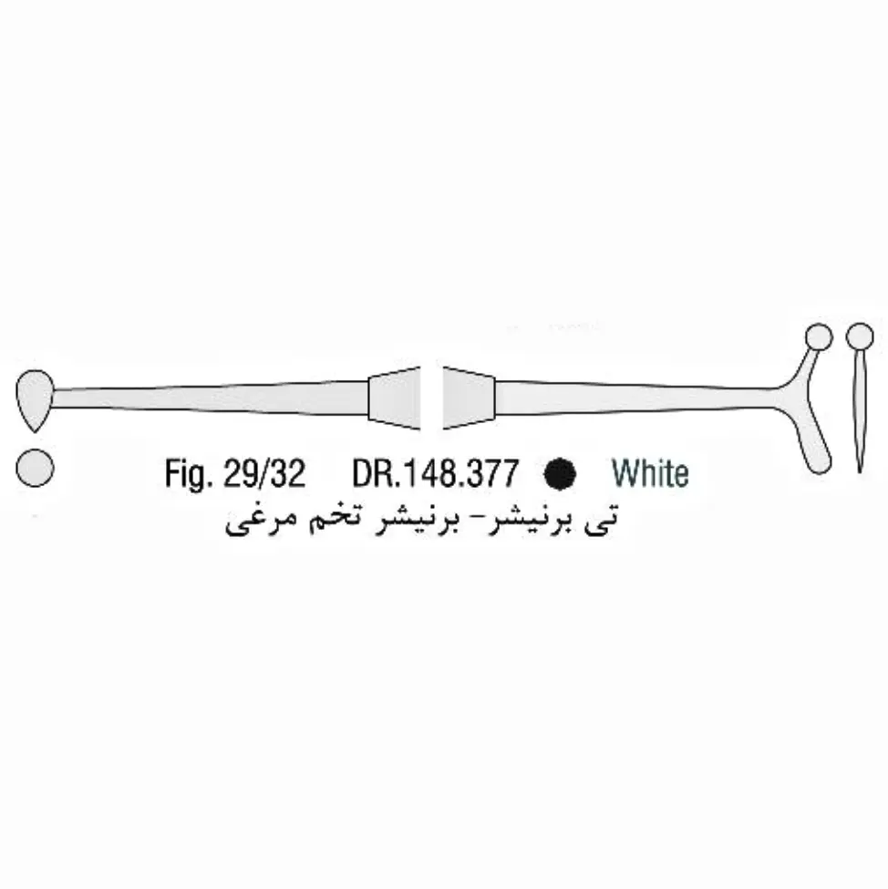تی برنیشر - فالکن