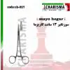سوزنگیر کاریزما - 1