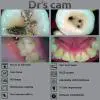 دوربین داخل دهانی بی سیم Dr’s Cam - 2