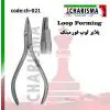 پلایر لوپ فرمینگ- کاریزما - 1