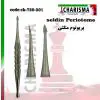 پریوتوم نوک مثلثی- کاریزما - 1