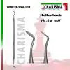 کارور هولن باخ- کاریزما - 1