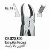فورسپس آناتومیک کاهورن بالا راست- فالکن - 1