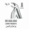 فورسپس اطفال فنردار پرمولر پایین- فالکن - 1