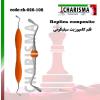 قلم کامپوزیت سیلیکونی سولو Replica- کاریزما - 1