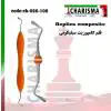 قلم کامپوزیت سیلیکونی سولو Replica- کاریزما - 1