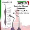 قلم کامپوزیت سیلیکونی سولو posterior misura- کاریزما - 1