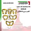 ست کلمپ تیتانیومی 6 عددی طلایی Brinker- کاریزما - 1