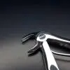 فورسپس اطفال سانترال پایین- دناپویا - 2